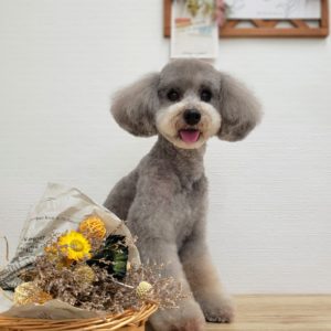 ☆6月の定休日のお知らせ☆