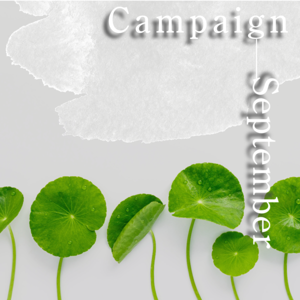 SeptemberCampaign